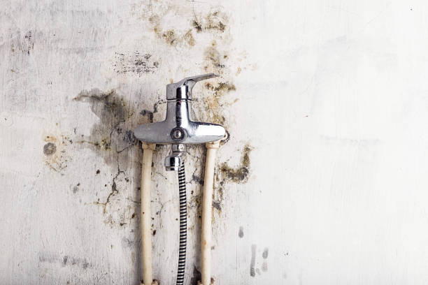 Best Mold Remediation  in Seadrift, TX