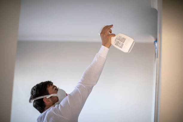 Best Certified Mold Removal  in Seadrift, TX