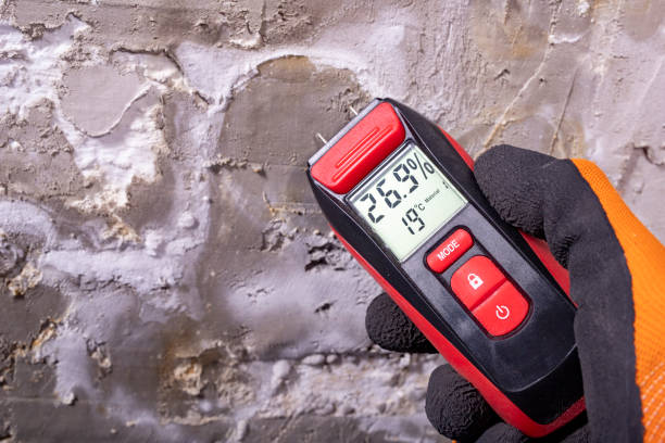 Best Professional Mold Removal  in Seadrift, TX