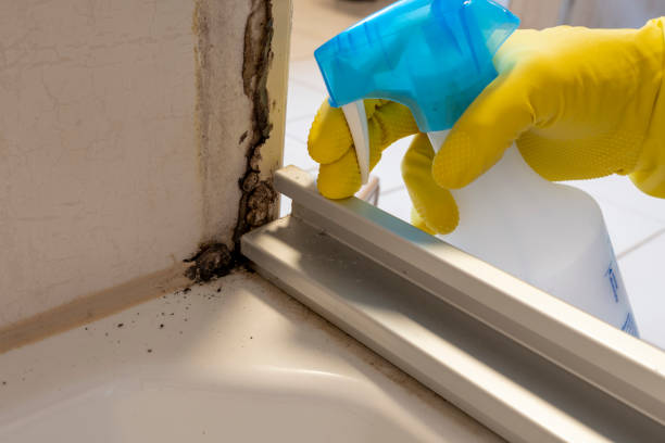 Best Mold Testing  in Seadrift, TX