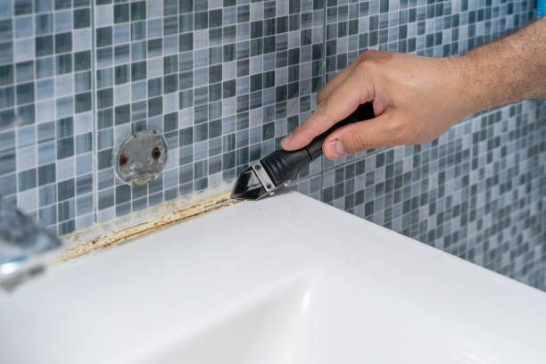 Best Commercial Mold Removal  in Seadrift, TX