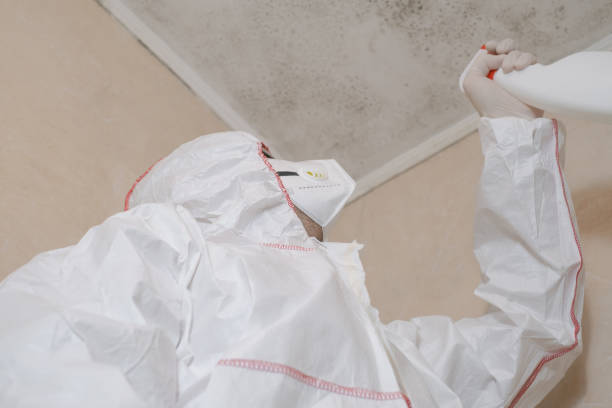Best Fast Mold Removal  in Seadrift, TX