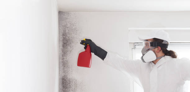 Best Emergency Mold Removal  in Seadrift, TX