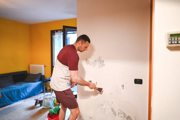Best Home Mold Removal  in Seadrift, TX