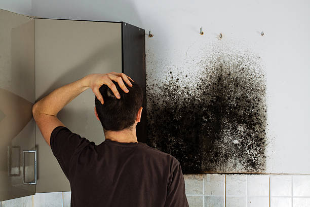 Best Emergency Mold Removal  in Seadrift, TX