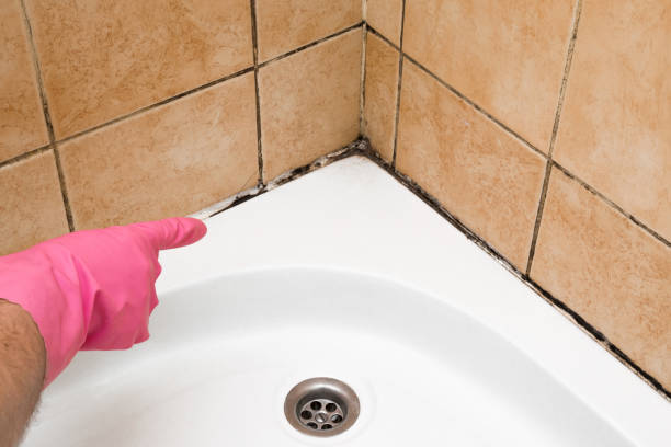 Best Mold Testing  in Seadrift, TX